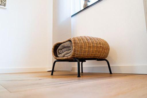 Weinrebe Apartment Bernkastel-Kues Ngoại thất bức ảnh