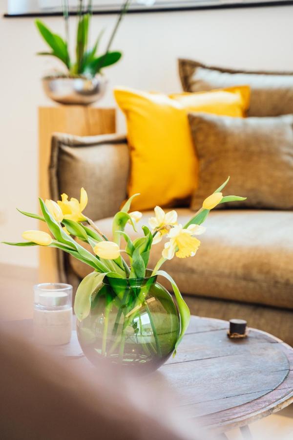 Weinrebe Apartment Bernkastel-Kues Ngoại thất bức ảnh